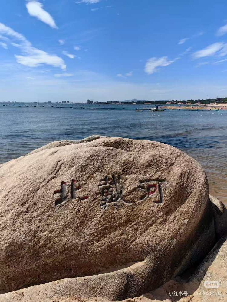26061115464976807.jpg