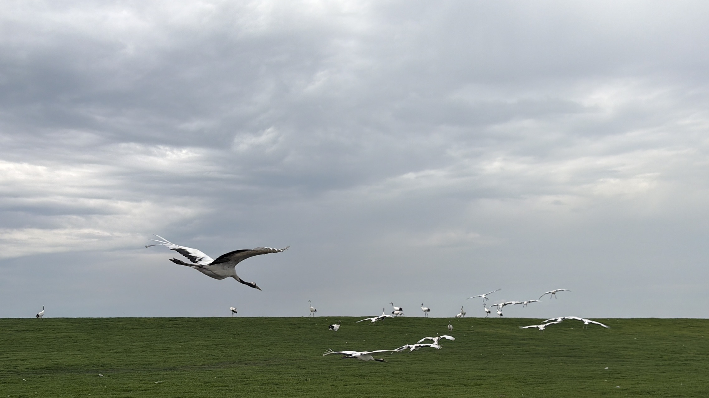 26070311324991877.jpg