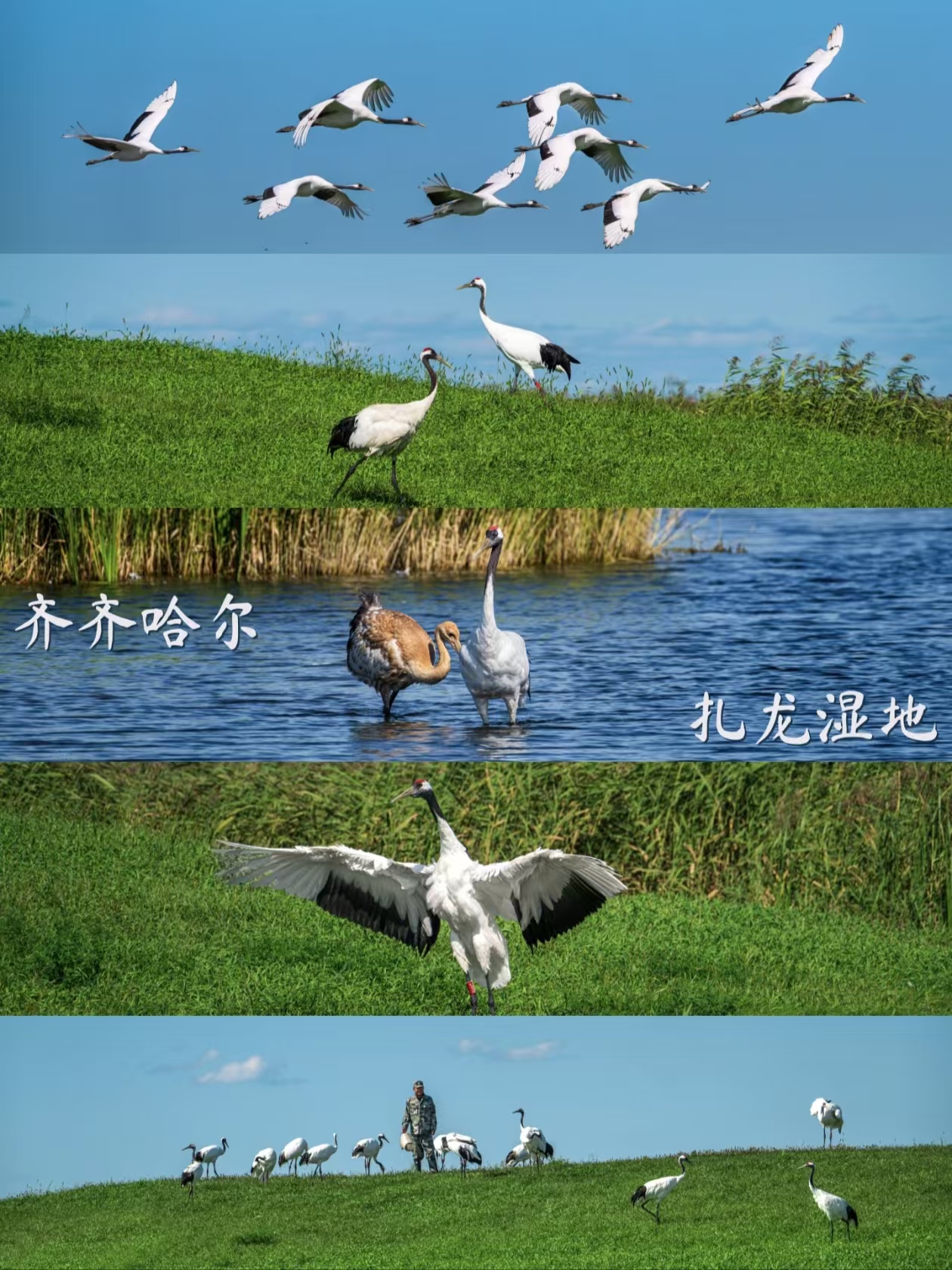 26070311432962977.jpg