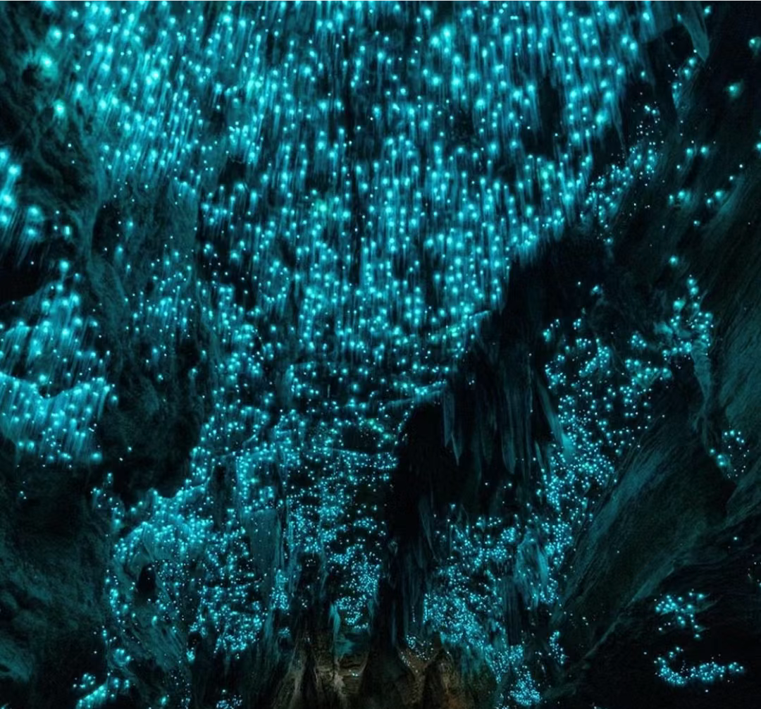 23113016452949172.png