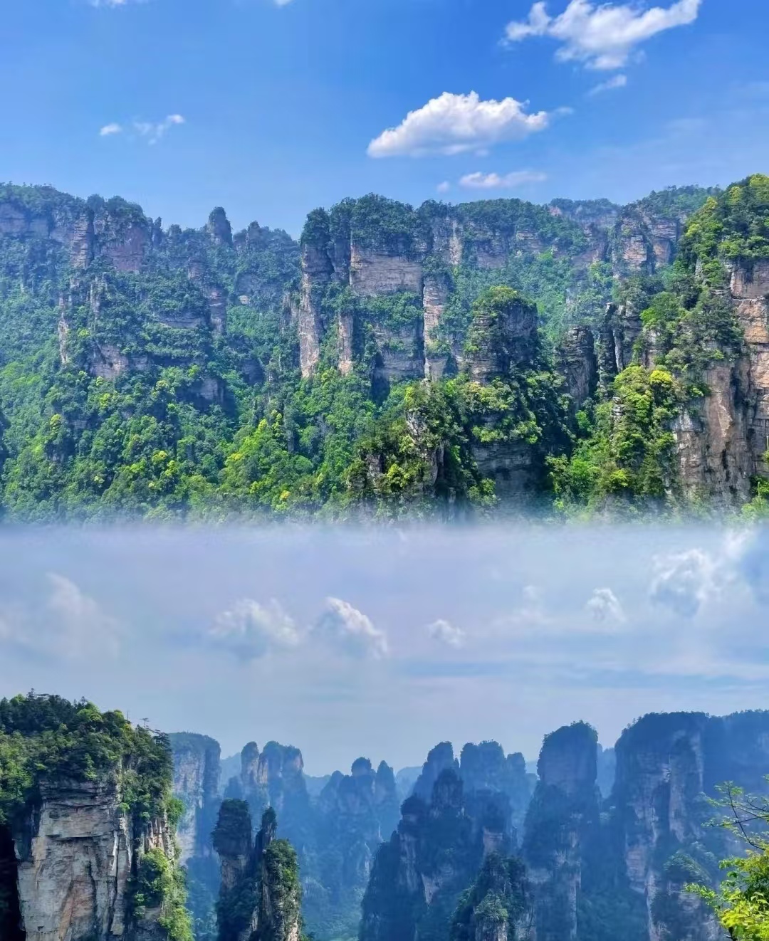 25050816101154888.jpg