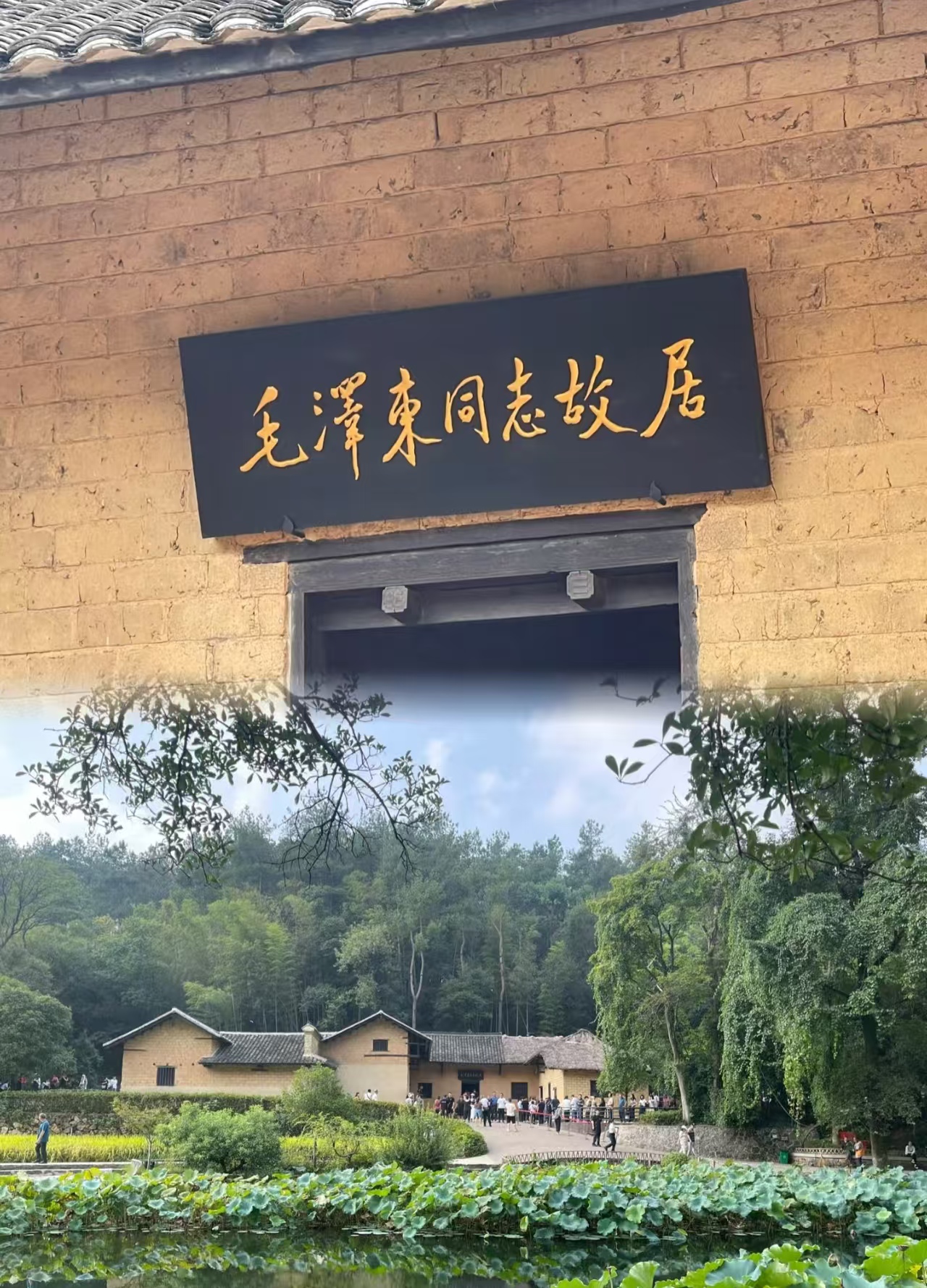 25050909243726648.jpg