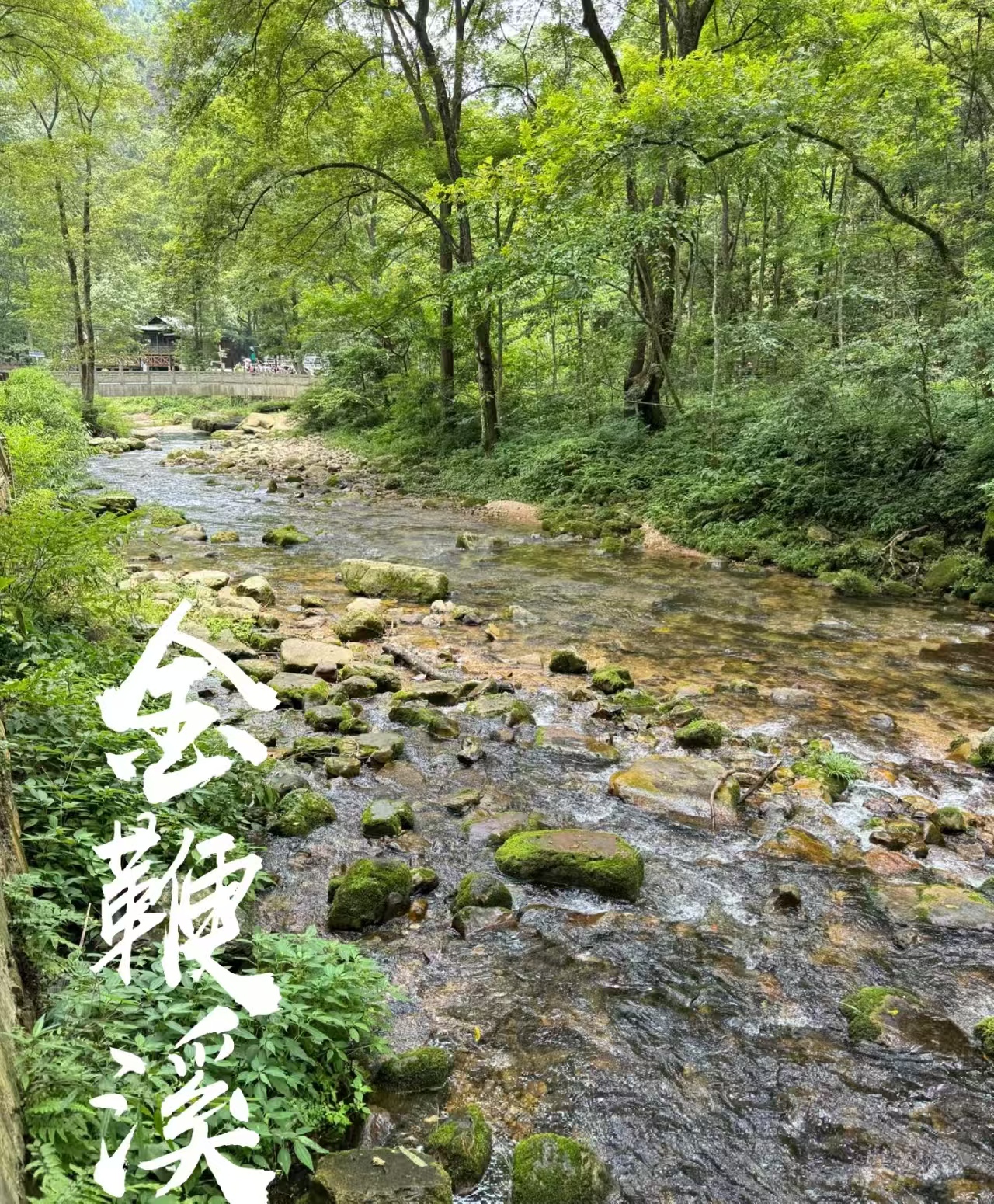 25051416355435510.jpg