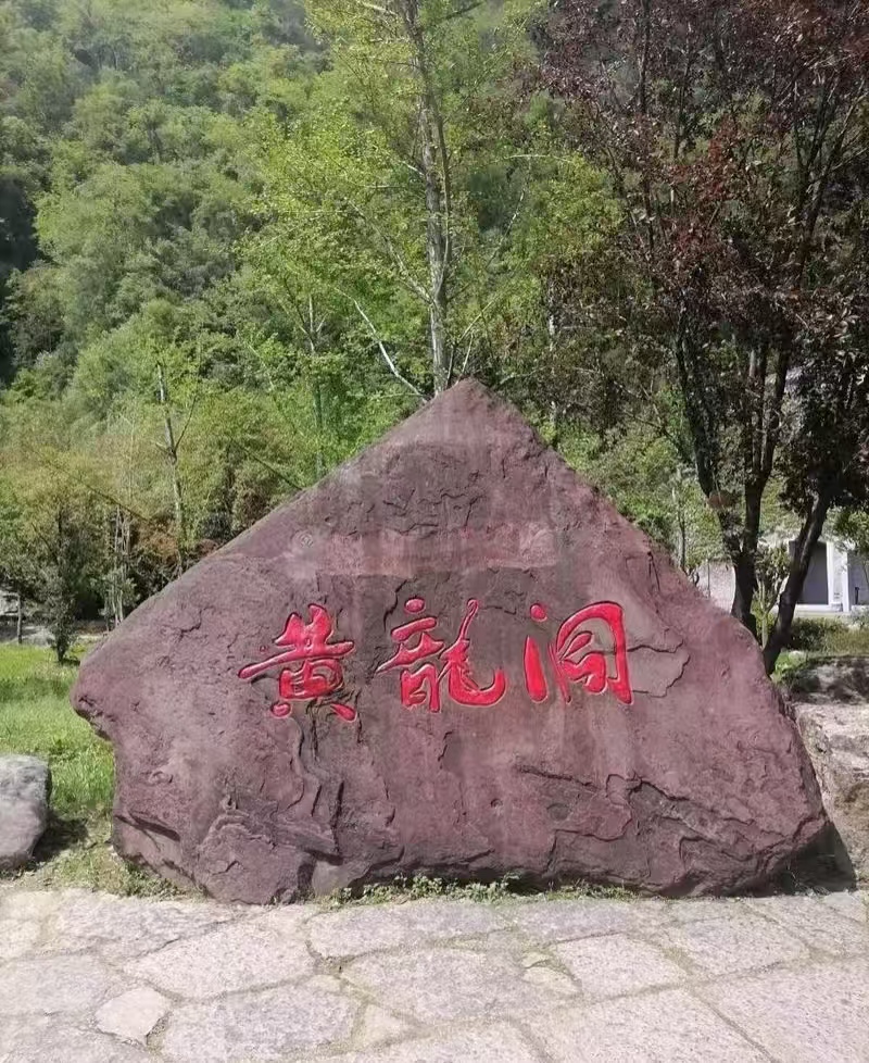 26042111261455680.jpg
