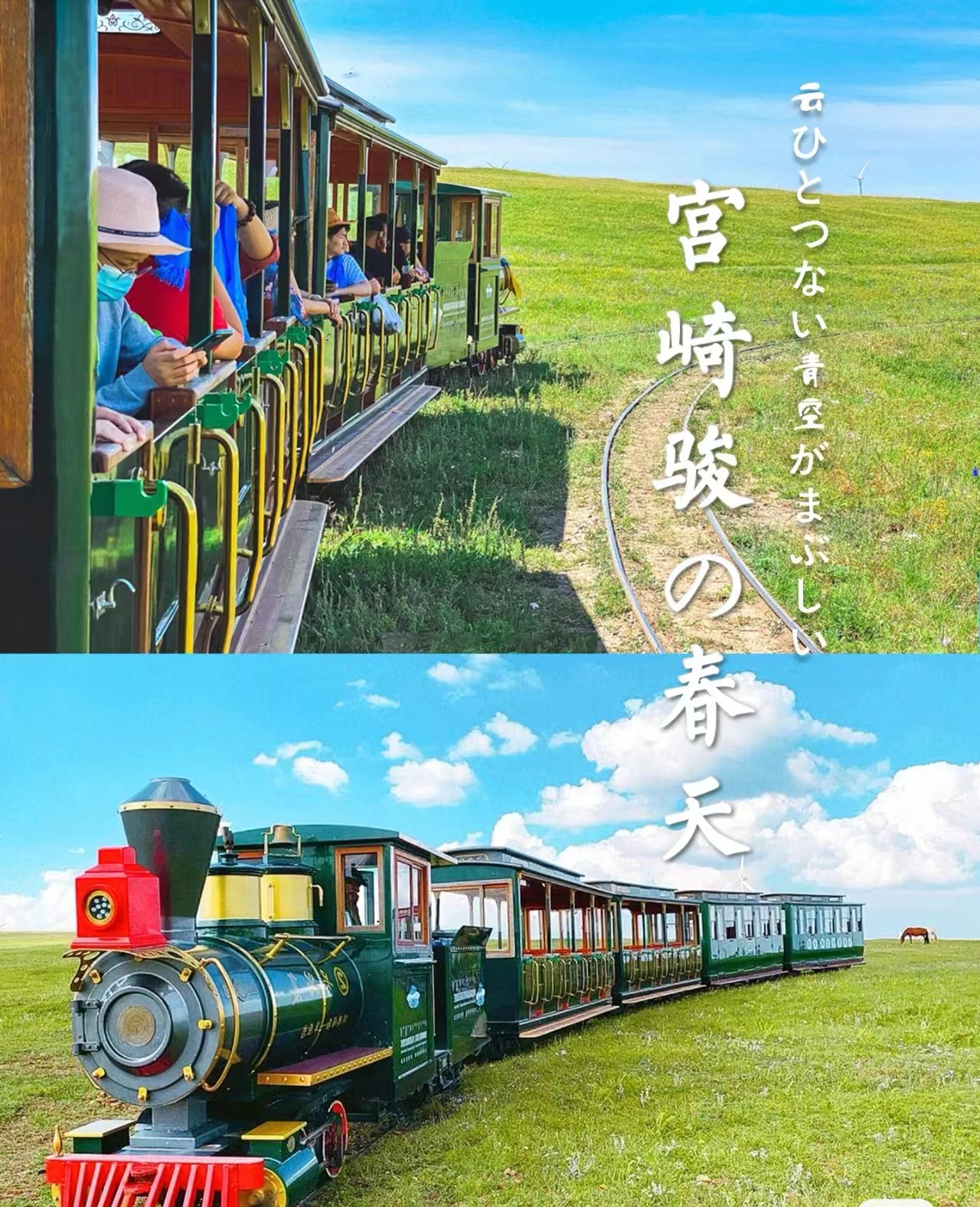 24061319261621137.jpg