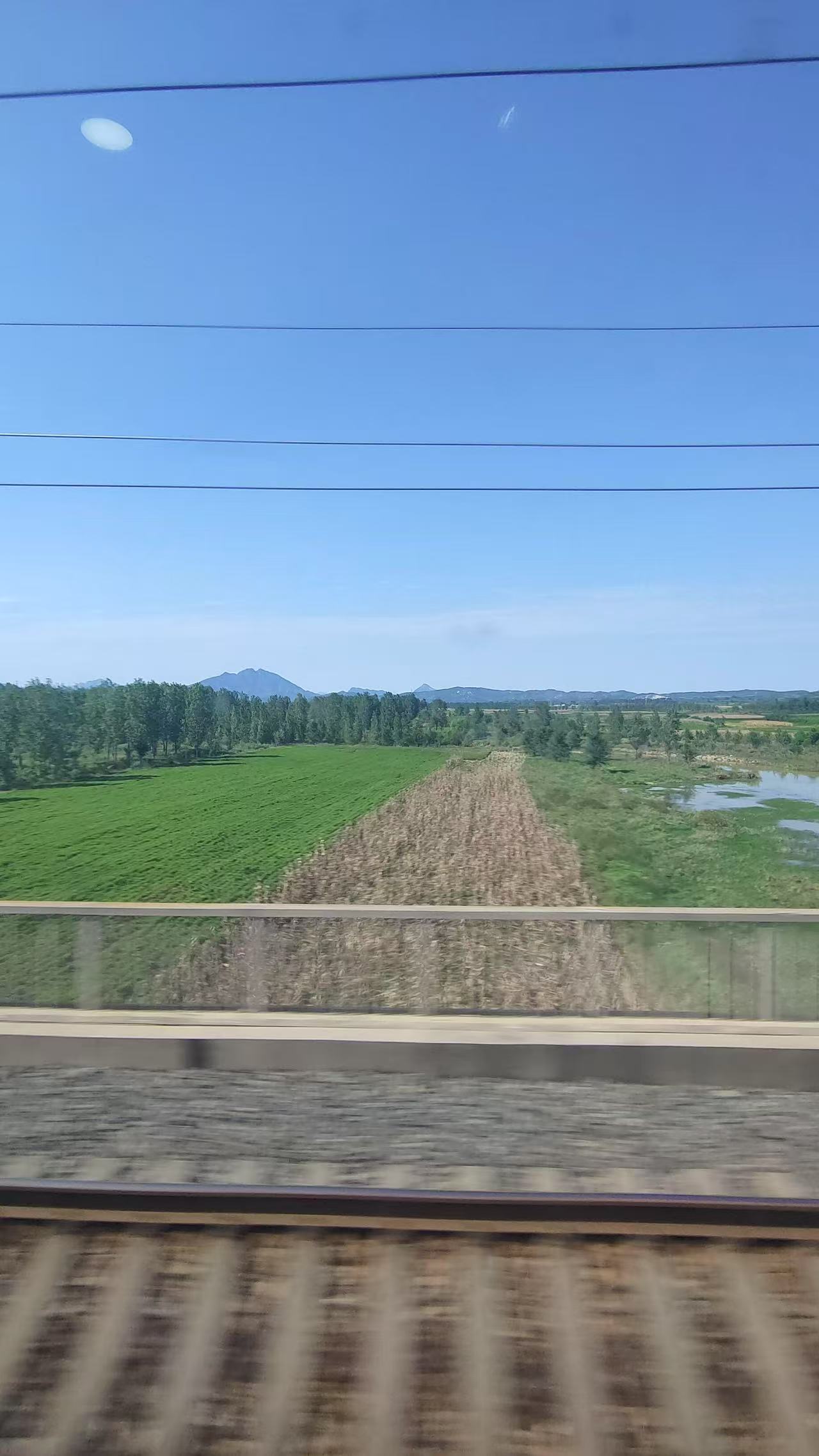 25051419171455962.jpg