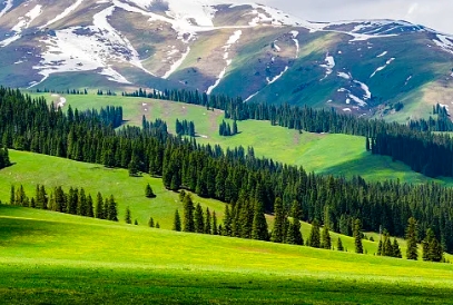 25050616000504561.png
