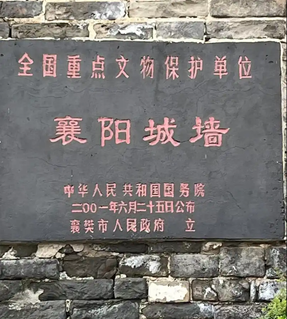 25031309495372462.jpg