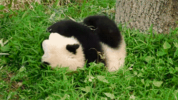25090916125809057.gif