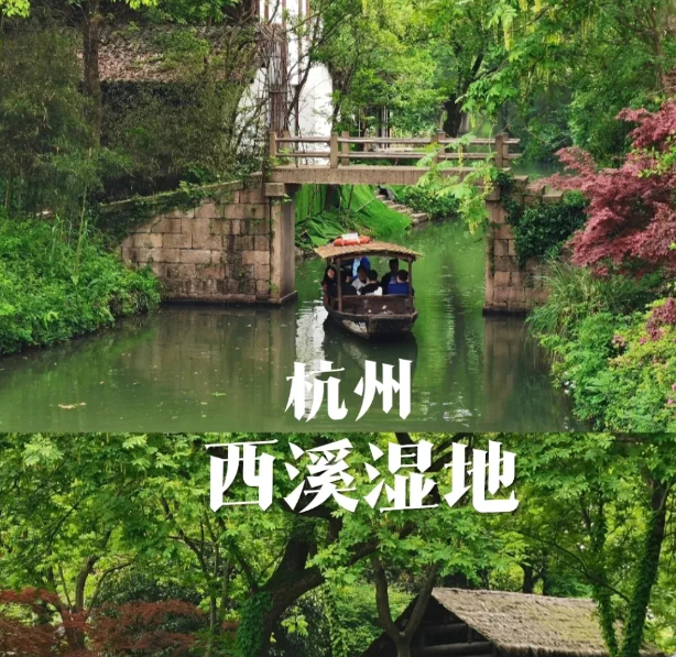 24082613054837644.png