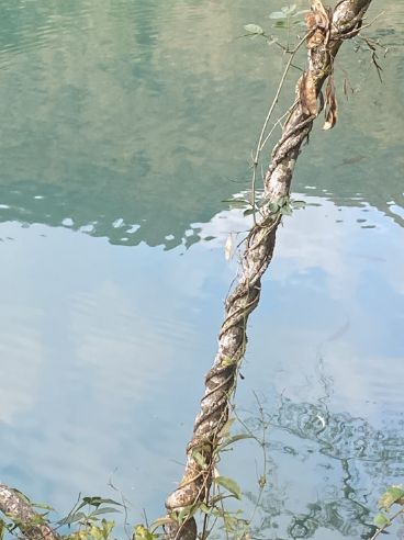25051218211311187.png