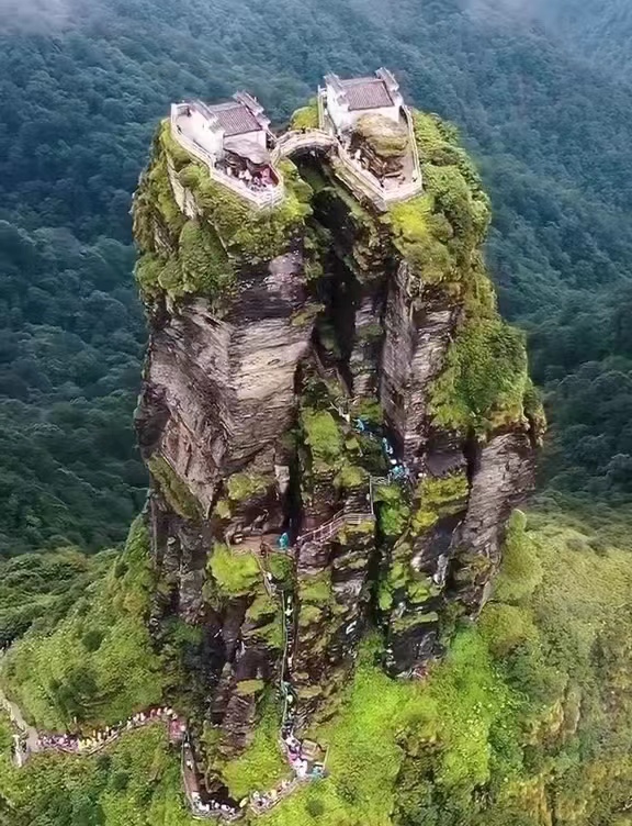 25070413505095981.jpg